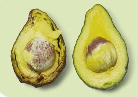 Argentinos crean producto natural que previene la pudrición en frutas