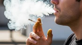 La crisis del tabaco en EEUU: producción en mínimos y giros de mercado